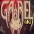 Gabriel Vlogs