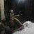Adilson Mendes