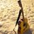 Orlando Silva