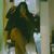 Roberta Marins