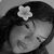 Lohana Evilly