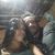 Jandir Vieira Ribeiro