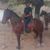 Renan Fonseca