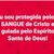 Evangelista Marineide Abelha