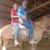 Neto Barros Da Silva