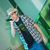 thiago rodrigues