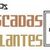 Forro dos Kapas