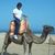 Carlinhos Compositor