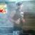 jose milton suzano ribeiro