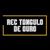 divulga music