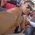 Altemilson Menezes