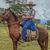 Bruno cesar Soares