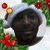 Vick 3D