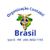 ORGANIZAÇÃO CONTÁBIL BRASIL