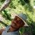 Allan Silva