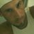 Claudy Silva