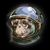Monkey In Space Records