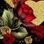 Rosa Asq