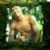 Wesley Siqueiraw