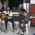 Marden Cardoso