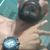 Oziel carvalho leal Carvalho leal