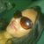 Rabech Duarte