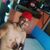 Marcio Ribeiro