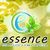essence loja