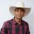top sertanejo, top fank