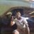 Ferreiraandrey93