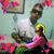Leandro Berthu
