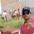 Claiton Pereira Machado