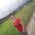 Alex Roberto de Barros Silva Beto
