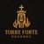 Torre Forte Records