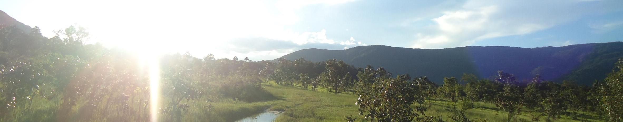 Imagem de capa de Adriano Souza