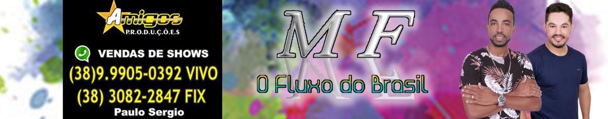 Imagem de capa de Os Doidinhos do Forro