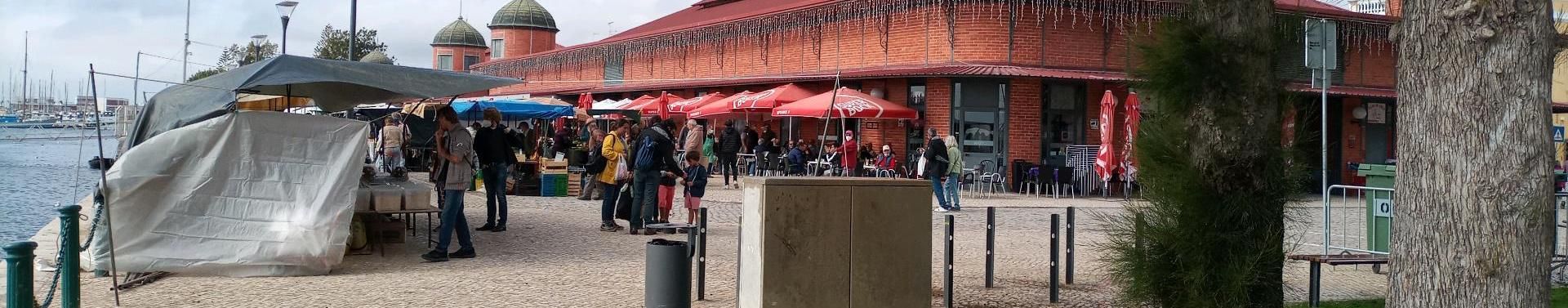 Imagem de capa de Maciel