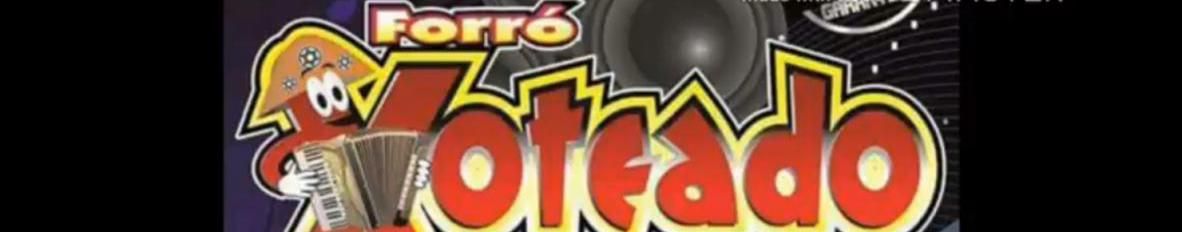 Imagem de capa de forro xoteado e sivaldo do acordeon