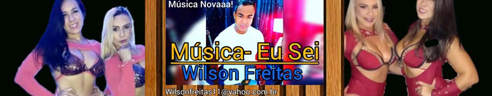 Imagem de capa de Wilson Freitas 2016