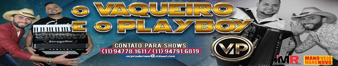 Imagem de capa de o Vaqueiro e o Playboy