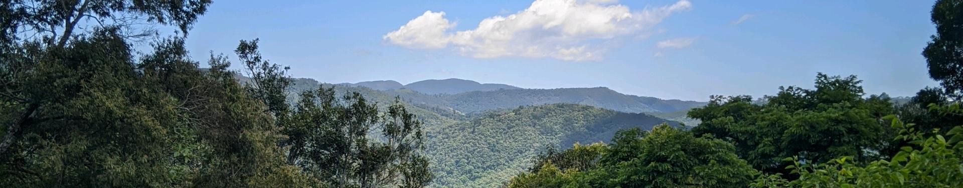 Imagem de capa de Caique Renan Ts