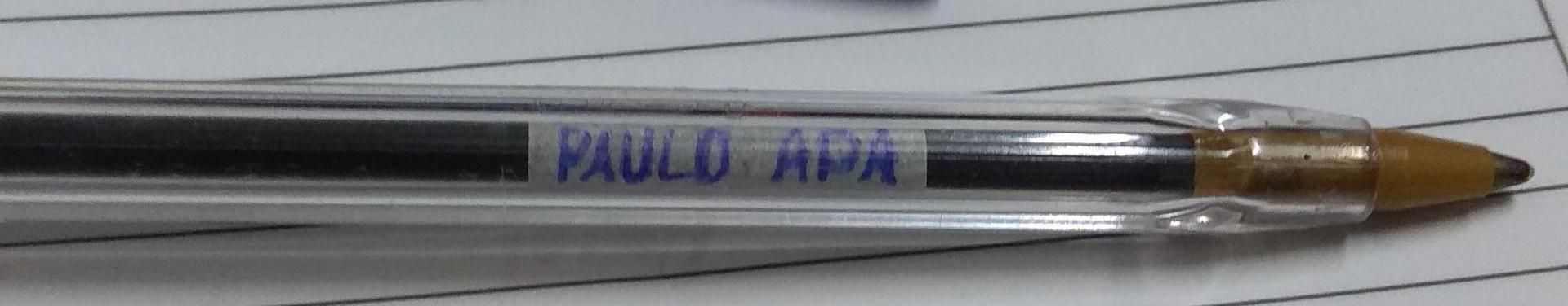 Imagem de capa de Paulo Apa