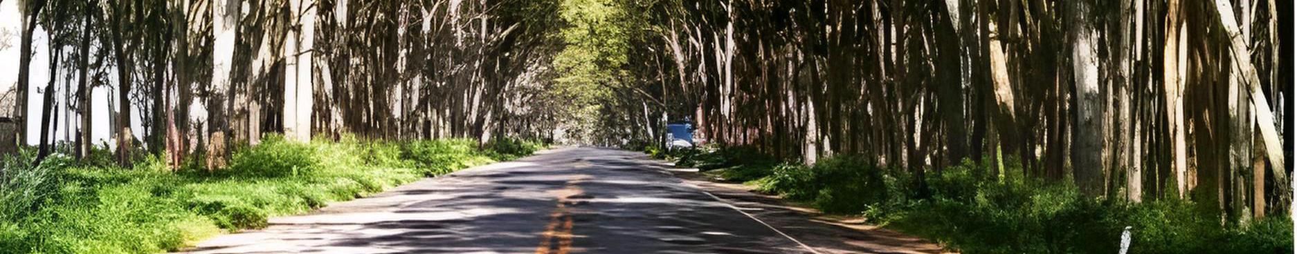 Imagem de capa de GABRIELBR97