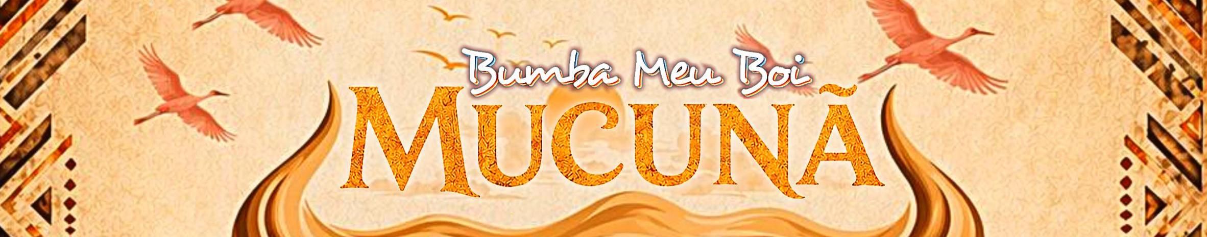 Imagem de capa de Bumba Meu Boi Mucunã