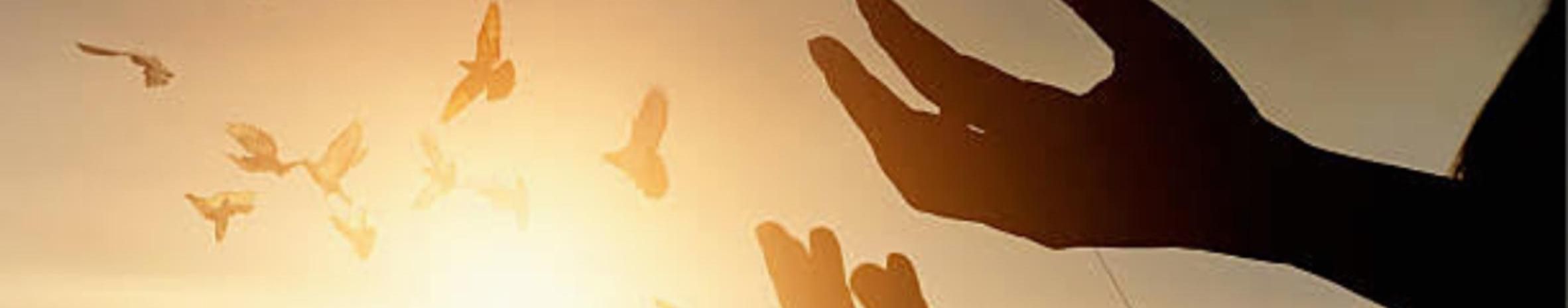 Imagem de capa de Ilda Vitória