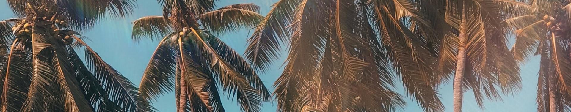 Imagem de capa de Caio Costa