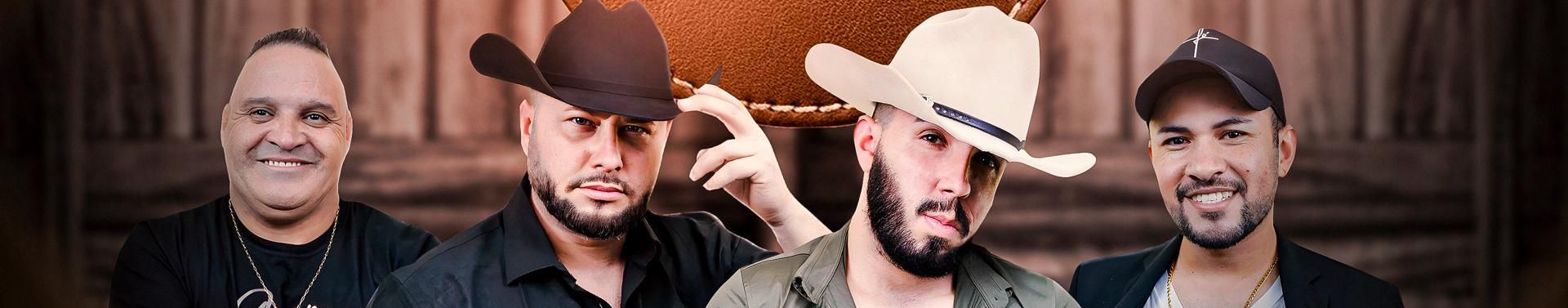 Imagem de capa de Solteirões Do Brasil