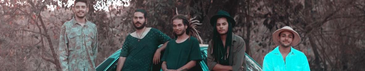 Imagem de capa de Bufalô