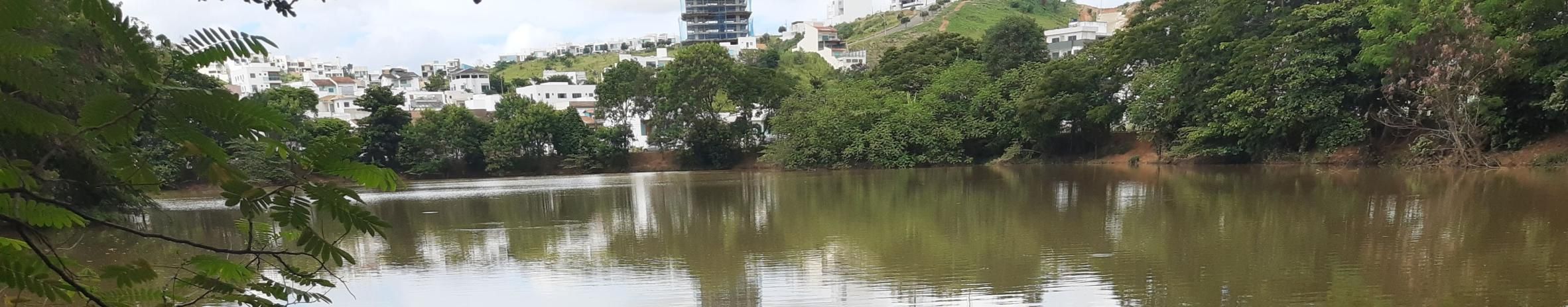 Imagem de capa de Valdir De Oliveira Julio