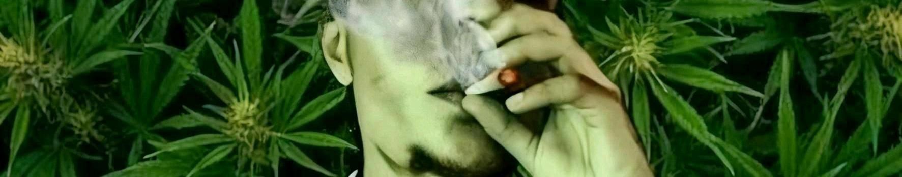 Imagem de capa de MCBABIDIPcc